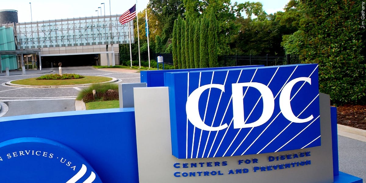 CDC announces rare drug-resistant flu variant discovered in US CDC announces rare drug-resistant flu variant discovered in US