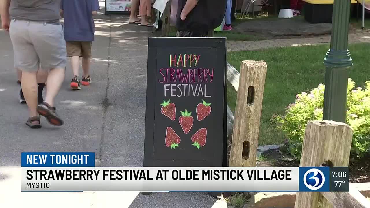 Strawberry Festival takes place in Olde Mistick Village - Vimarsana News